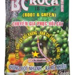 BCROCA 18-4-6