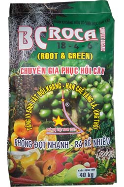 BCROCA 18-4-6