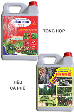 RP 953
