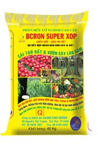 bcron vang